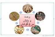 برگزاری دوره آموزشی کار با سامانه کابوک در تنظیم جوجه ریزی تا کشتار